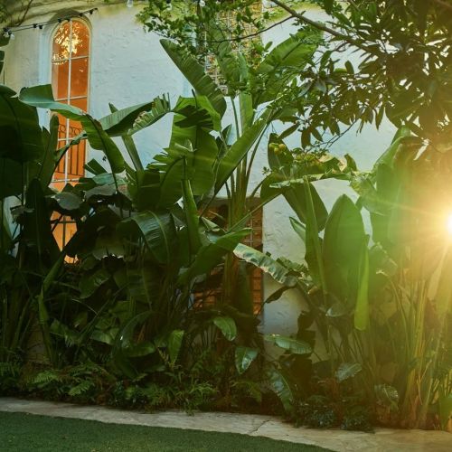 sunset marquis sunrise