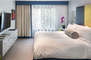 King Guest Room