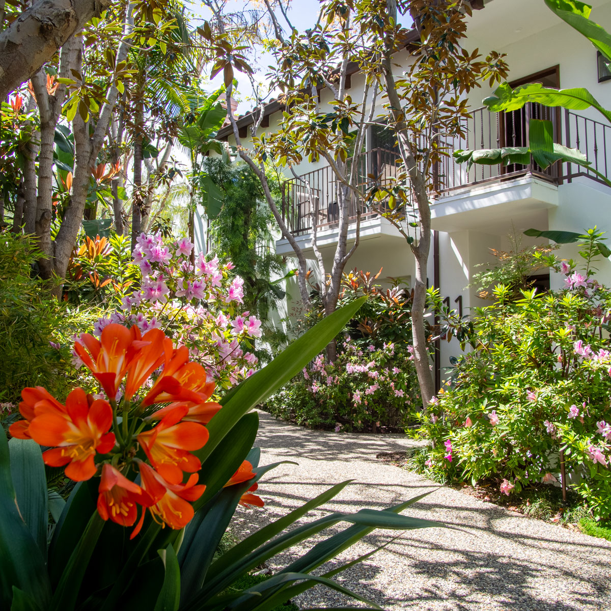 villa walkway at sunset marquis