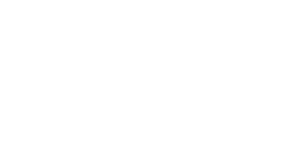 Nightbird Logo